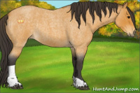 Horse Color:Buckskin Roan Tobiano Rabicano 