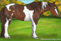 Horse Color:White Spotted Liver Chestnut Tobiano 