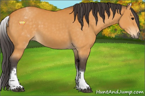 Horse Color:White Spotted Buckskin Tobiano 