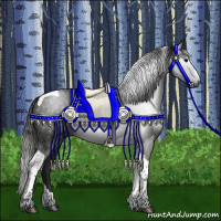 Horse Color:Gray Smoky Black Tobiano 