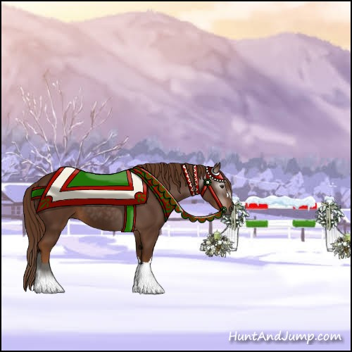 Horse Color:Gray Chestnut 