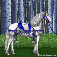 Horse Color:Gray Palomino Tobiano 