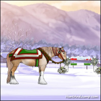 Horse Color:Gray Palomino 