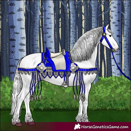 Horse Color:Gray Bay 