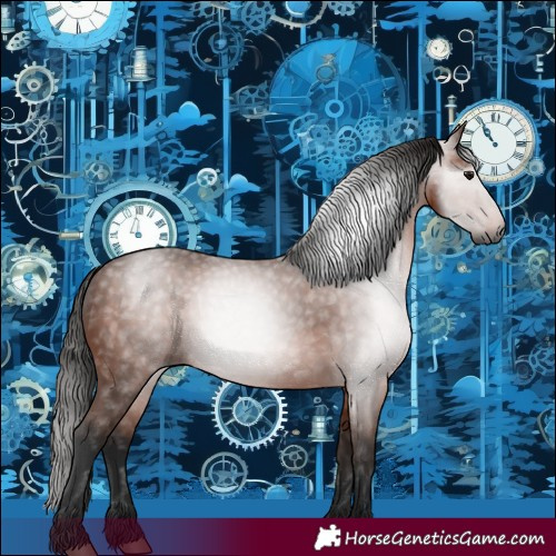 Horse Color:Gray Bay 