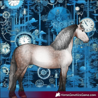 Horse Color:Gray Bay