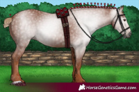 Horse Color:Gray Chestnut