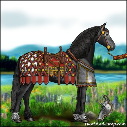 Horse Color:Gray Black Appaloosa