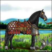 Horse Color:Gray Black Appaloosa