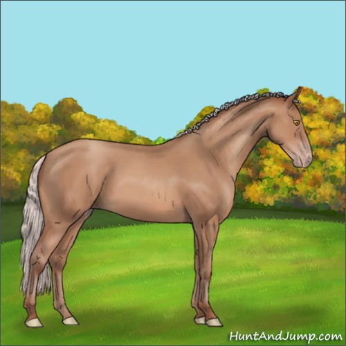 Horse Color:Silver Sable Champagne 