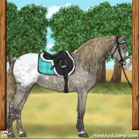Horse Color:Smoky Grullo Splash Appaloosa