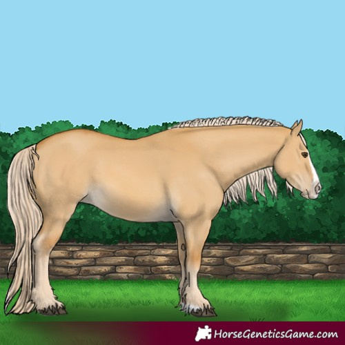 Horse Color:Palomino Dun Splash