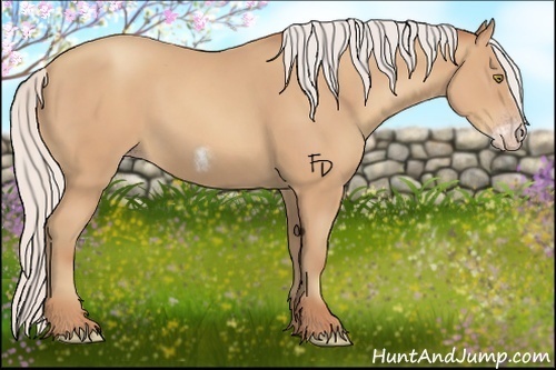 Horse Color:Silver Amber Champagne Sabino Frame 