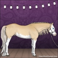 Horse Color:Palomino Dun Splash