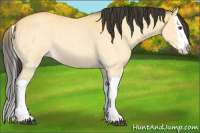 Horse Color:Buckskin Roan Dun Splash 