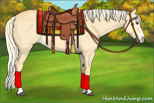 Horse Color:Palomino Dun Splash 