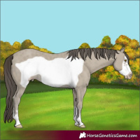 Horse Color:Classic Cream Champagne Frame 
