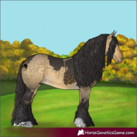 Horse Color:Buckskin  and Buckskin Dun 