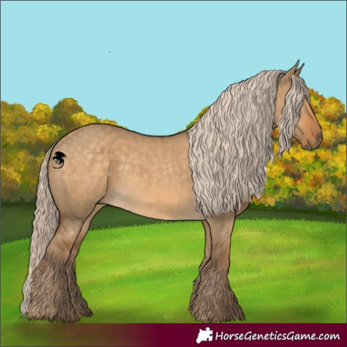Horse Color:White Spotted Chocolate Palomino Dun 