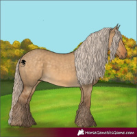 Horse Color:White Spotted Chocolate Palomino Dun 