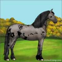Horse Color:Void White Spotted Grullo 