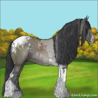 Horse Color:Grullo Tobiano 