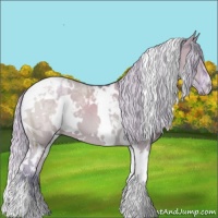 Horse Color:Watercolor White Spotted Silver Grullo Tobiano 