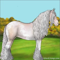 Horse Color:Watercolor Silver Grullo Pearl Tobiano 