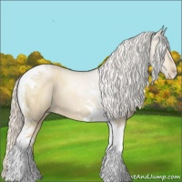 Horse Color:Silver Grullo Pearl Tobiano 