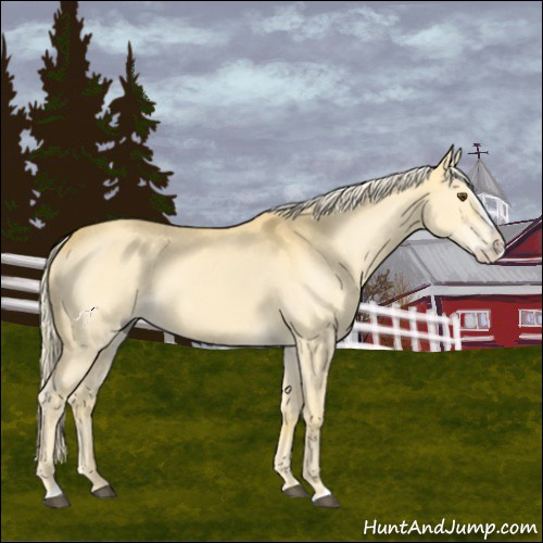 Horse Color:Palomino Dun Splash