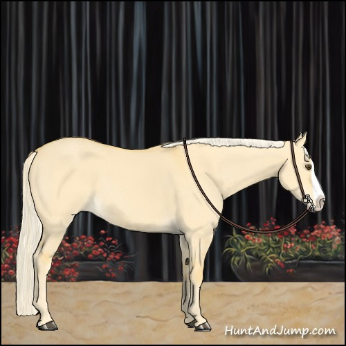 Horse Color:Palomino Dun Splash 