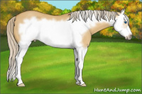 Horse Color:Palomino Dun Splash Frame 