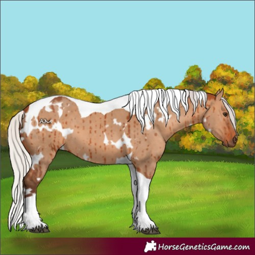 Horse Color:White Spotted Silver Bay Dun Tobiano Brindle 