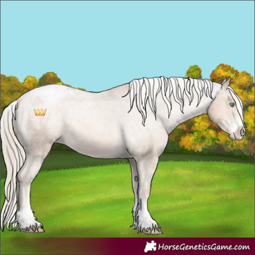 Horse Color:Chocolate Palomino Pearl Sabino Tobiano Appaloosa 