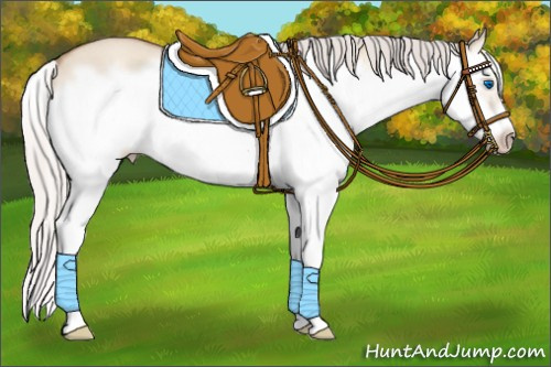 Horse Color:Silver Classic Champagne Dun Splash Frame 