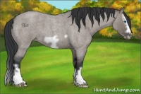 Horse Color:Grullo Roan Splash Frame 