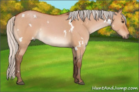 Horse Color:White Spotted Silver Bay Roan Dun 