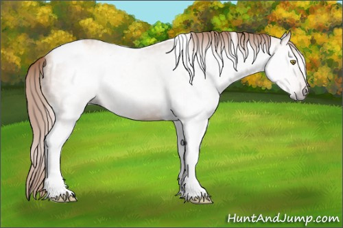 Horse Color:Gray Gold Champagne Tobiano