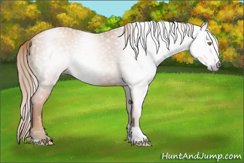 Horse Color:Gray Gold Champagne Tobiano 