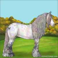 Horse Color:Nacre White Spotted Silver Brown Chinchilla Ice Sabino Rabicano