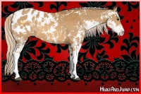 Horse Color:Palomino Sabino Appaloosa 