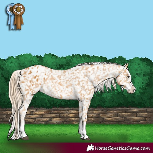 Horse Color:Palomino Splash Snowflake Varnish 