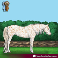Horse Color:Palomino Splash Snowflake Varnish 