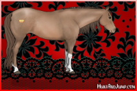 Horse Color:Black Pearl Tobiano Rabicano 