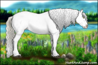 Horse Color:Palomino Appaloosa  and Palomino Appaloosa 