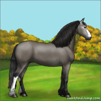 Horse Color:Gray Grullo 