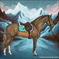 Horse Color:Chocolate Palomino 