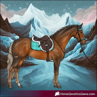Horse Color:Chocolate Palomino Rabicano 