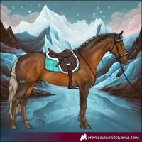 Horse Color:Chocolate Palomino 