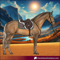 Horse Color:Chocolate Palomino 
